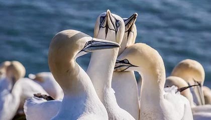 九游娱乐app下载-鲁尔区德比迎来高能比赛，鲁尔区德比体育市场化