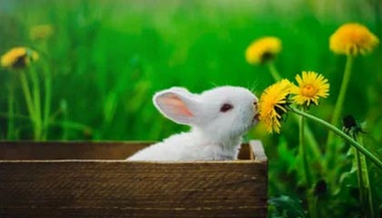 九游娱乐app下载-鲁尔区德比迎来高能比赛，鲁尔区德比体育市场化