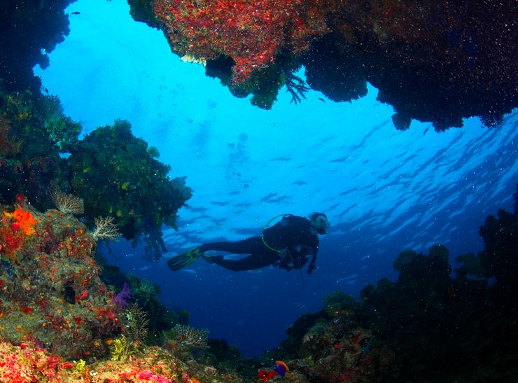 九游下载中心-海底潜水摄影争霸,展现深海美丽风光的简单介绍