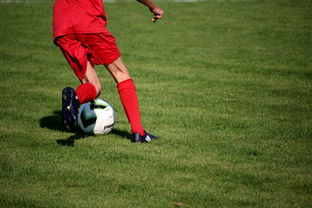 九游娱乐(jiuyou)官网-中国篮球职业联赛俱乐部青训体系建设与实践探索，篮球青年训练营