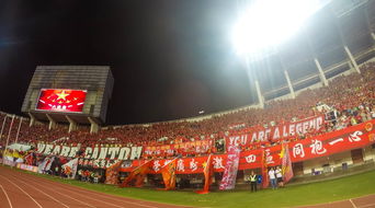 -“运动舞蹈:金牛区城北体育馆让你看到的不仅仅是舞蹈,更是灵魂与身体的交响”